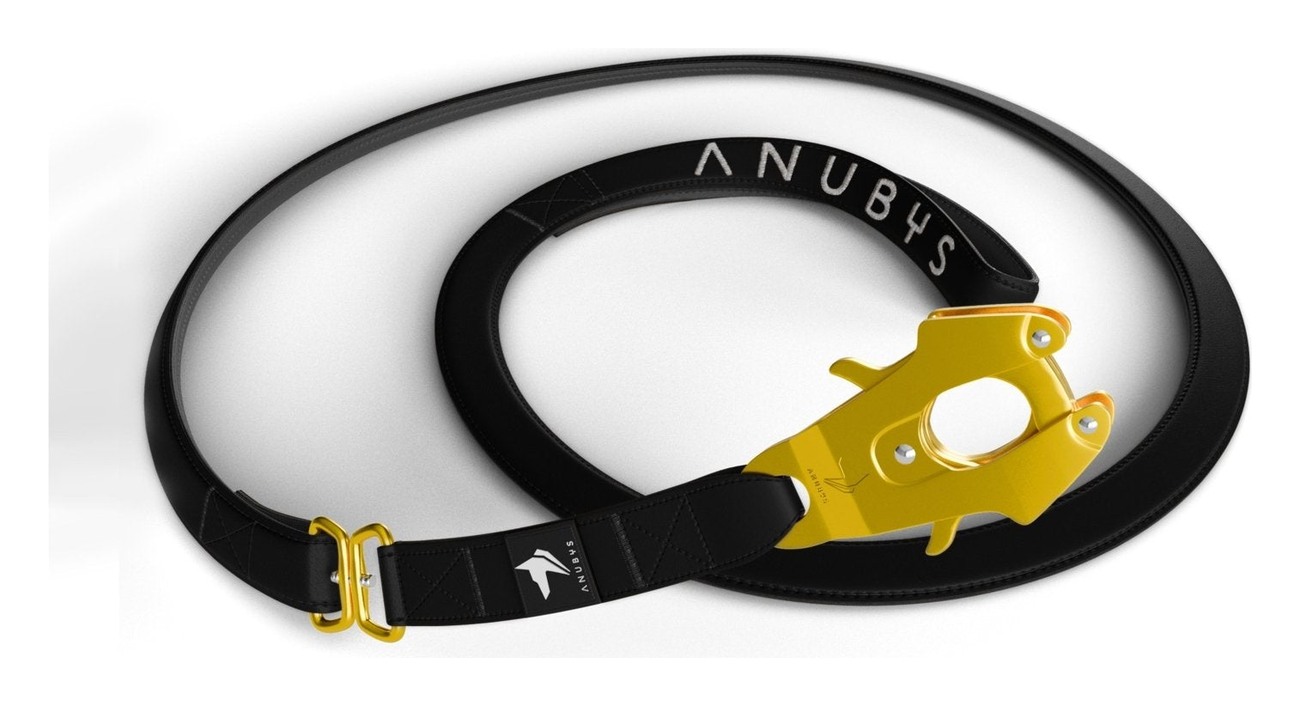 Gold-plated trigger hardware, close up