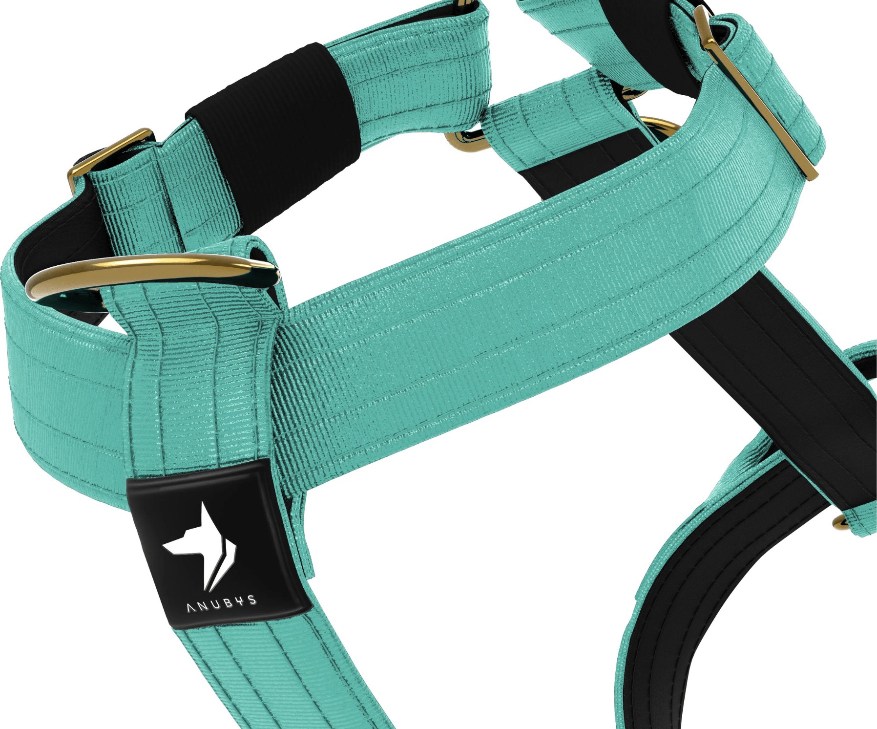 The teal tactical harness up close, showing the front D-ring, the neoprene lining and the gold hardware