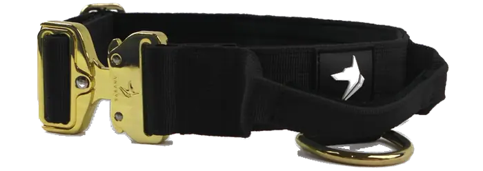 The Anubys 2.5cm Elite Collar in black, rotating