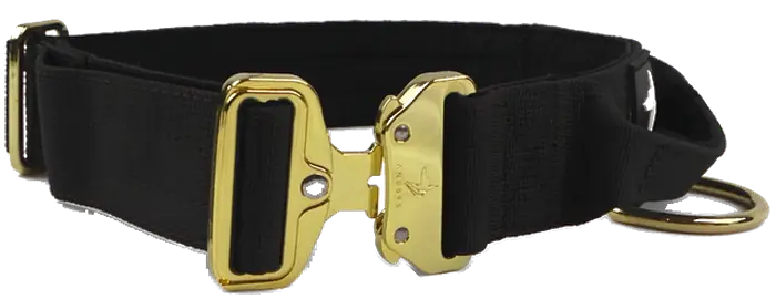 The Anubys 4cm Elite Collar in black, rotating