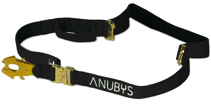 The Anubys Adjustable Leash in black, rotating