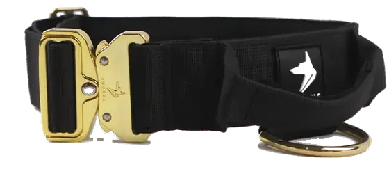 The Anubys 5cm Elite Collar in black