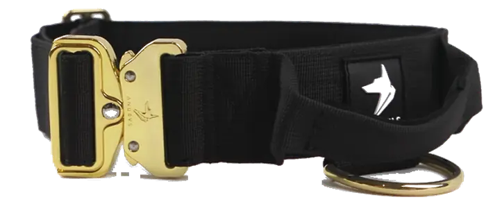 The Anubys 5cm Elite Collar in black, rotating to show its gold cobra buckle, D-ring and tri-layered webbing