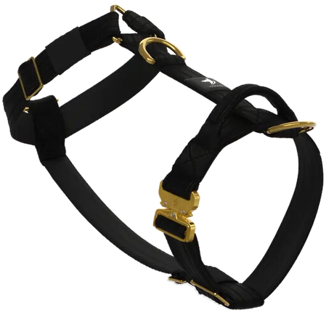 The Anubys Tactical Harness in black, rotating to show its gold buckle, three D-rings and padded neoprene panels