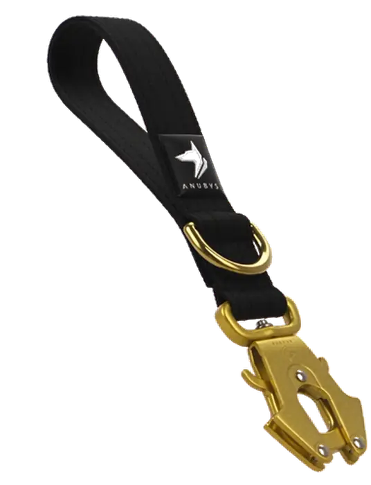 The Anubys Short Leash in black, rotating