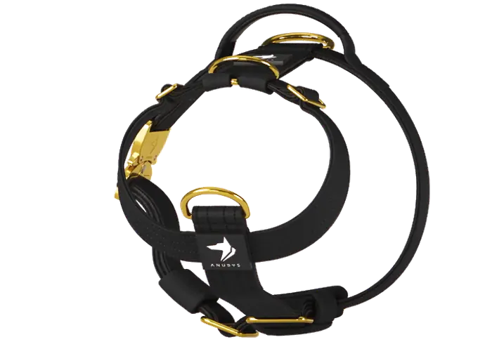 The Anubys Vegan Leather Harness in black, rotating