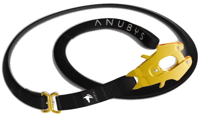The Anubys Vegan Leather Leash in black, rotating