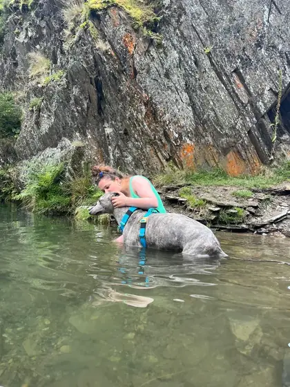 Abby L.&rsquo;s dog wearing the Anubys Tactical Harness