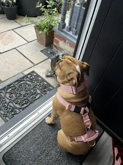 Photo from Briony O.