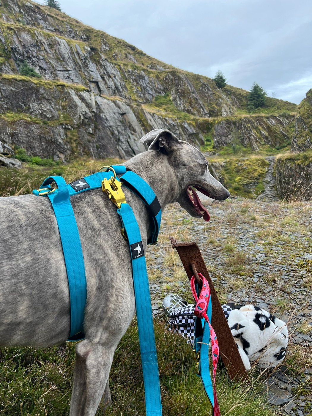 Photo sent in by Abby L.