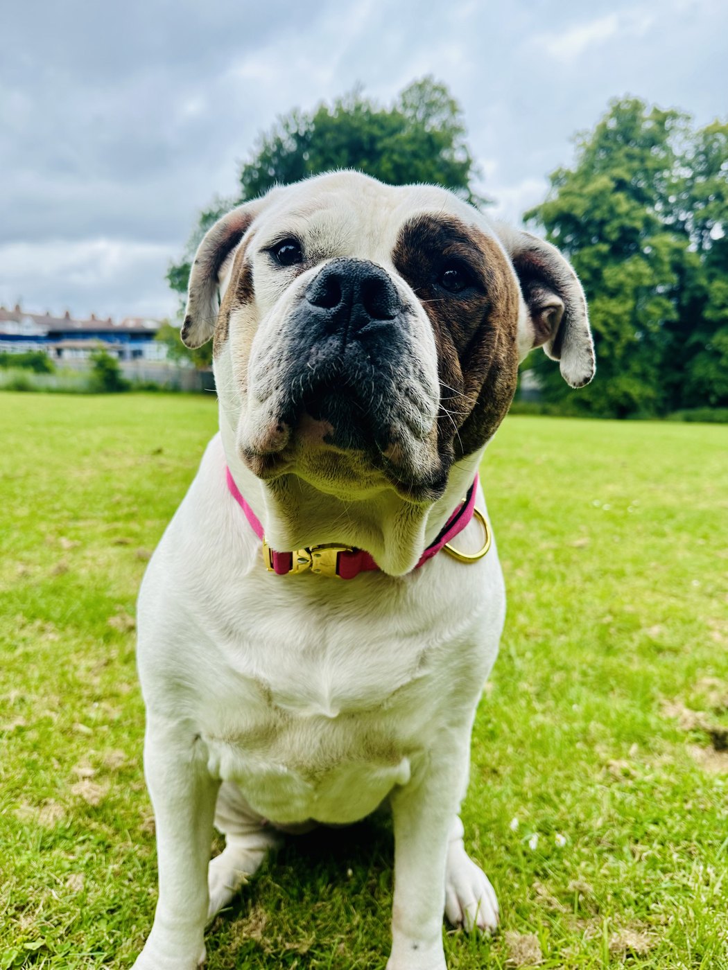 Photo sent in by Fallon