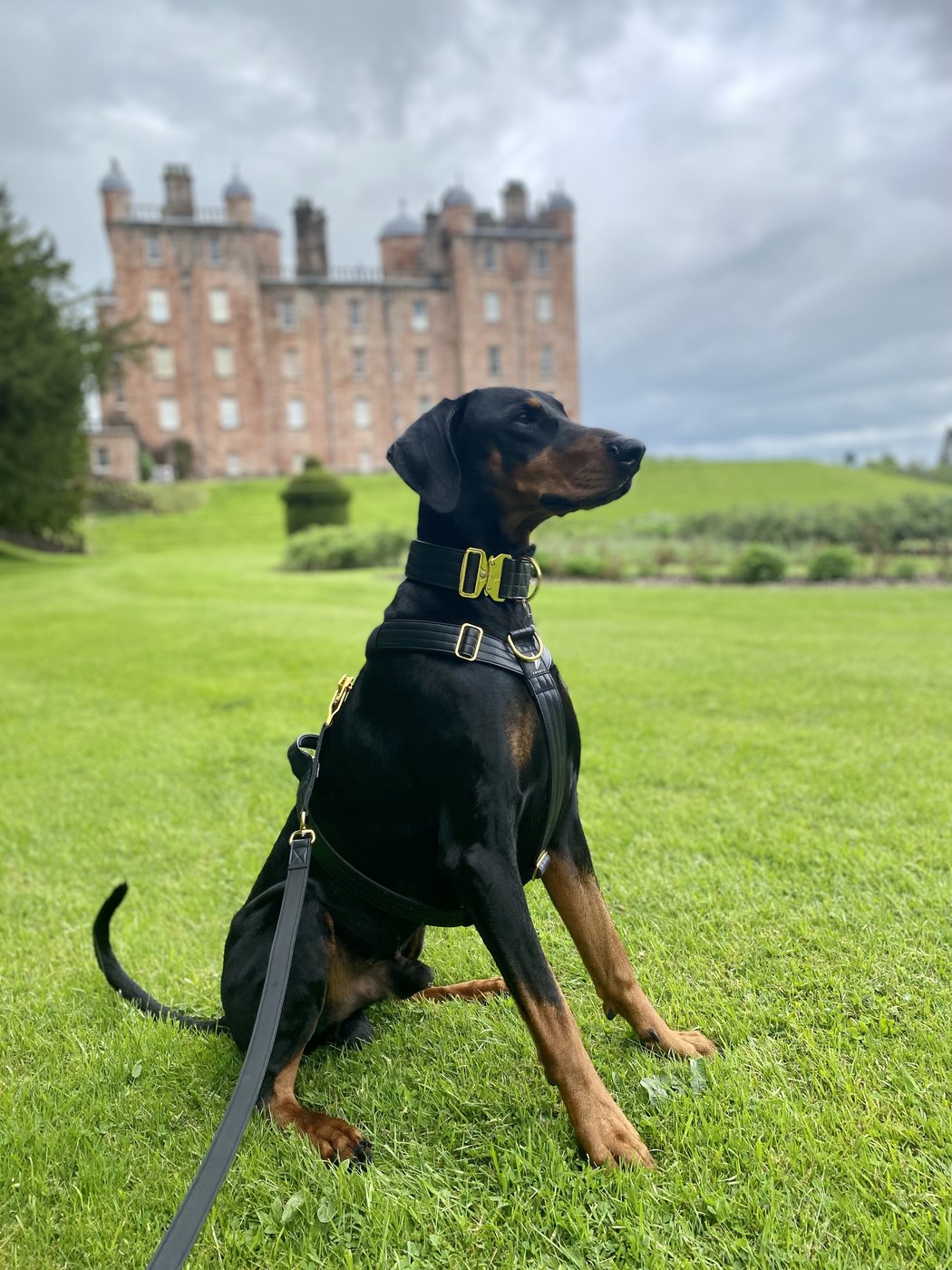 Photo sent in by Georgina